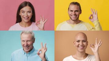 Four individuals from different backgrounds express the okay gesture, smiling and showcasing diversity against bright colors. Each person contributes to a lively and inclusive atmosphere. video