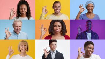 A collection of individuals from various backgrounds expresses positivity using the okay gesture. Each person showcases a unique smile and style, set against vibrant colors. video