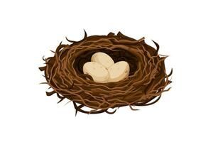 Nest with three eggs in detailed branches and twigs on white background vector