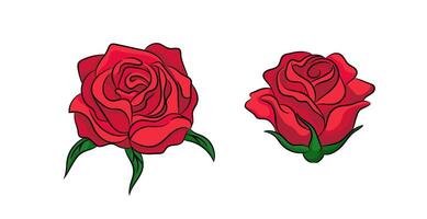 Elegant red roses with leaves artfully displayed on light backdrop vector