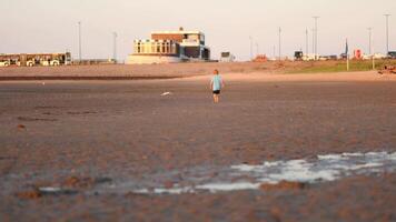Boy walking on the empty beach during low tide, watching seagulls video