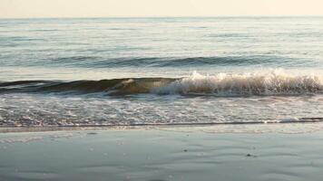 Quiet waves gently lap the shore during golden hour at a serene beach location video