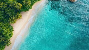 Stunning tropical beach with turquoise water and lush palm trees photo