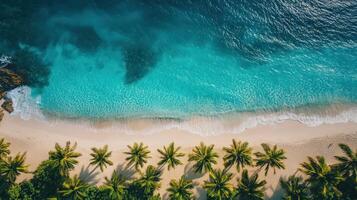 Scenic aerial view of a tropical beach with blue clear water photo