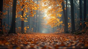 Serene autumn forest with golden leaves and soft, atmospheric lighting photo