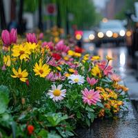 Close-Up of Dew-Covered Flowers with City Street in Background photo