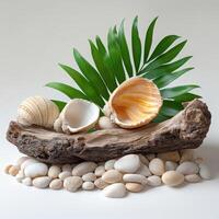 Seaside Driftwood with Tropical Leaves, Shells, and Pebbles on Beach photo