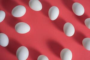 White eggs lined up with shadows on a vibrant red background photo