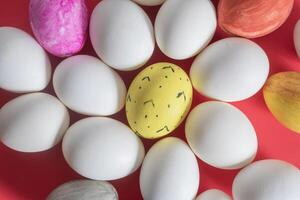 Decorative colorful eggs amidst white eggs on a vibrant red background photo