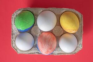 Six eggs in a cardboard box with different colors photo