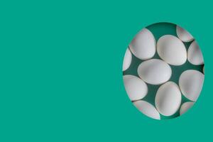 White eggs arranged on a green background in a oval frame photo