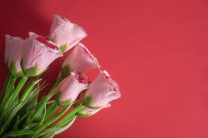 Top view of a bouquet of pink roses on a red background, for Valentine's Day and Mother's Day. photo