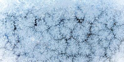 Cold winter background. Beautiful frosty pattern on the window. Close-up. Selective focus. photo