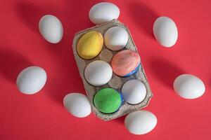 A carton with colored eggs on a red background photo