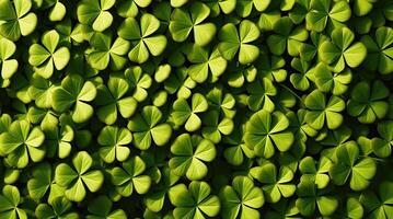 Clover leaves. Shamrock green symbol. St. Patrick's day background photo