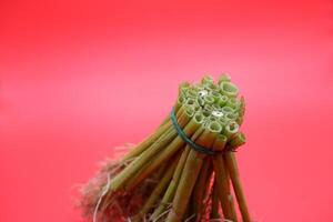 Water Spinach Stems and Roots Isolated on Red photo