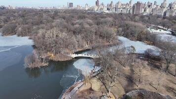Aerial View of Central Park at Manhattan in New York United States. Public Scenery. video