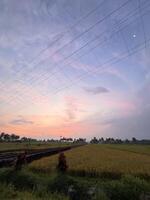 Ultra-Wide View of Power Lines and Vibrant Sunset Sky Over Rice Fields photo