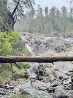 Kalipait Waterfall Ijen Geopark Bondowoso. A serene natural landscape featuring a small stream flowing under a fallen tree trunk bridge, surrounded by lush greenery and rocky terrain. photo
