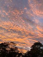 Golden Sunset Sky with Fiery Clouds and Silhouetted Trees photo