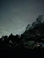Serene Night Landscape with Silhouetted Trees. Ranu Regulo Semeru Lumajang photo