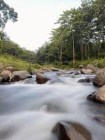 Serene River Flowing Through Lush Forest photo