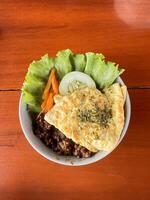 Rice Bowl with Omelette and Minced Meat photo