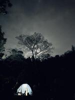 Glowing Tent in a Dark Forest at Night. Ranu Regulo Semeru Lumajang photo