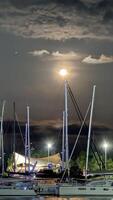 Serene Night at Marina with Full Moon photo
