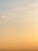 Golden Sky at Dusk with Birds in Flight Background Tranquil Sunset photo