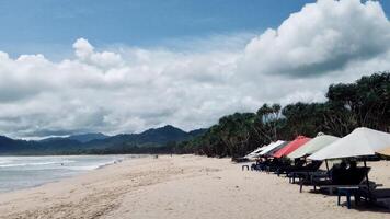 Serene Beach with Umbrellas and Lounge Chairs. Pulau Merah photo