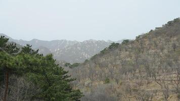 The mountains and the great wall in Beijing photo
