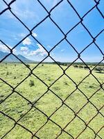 Scenic View Through a Rusty Wire Fence. Baluran National Park Situbondo. photo