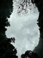 Dramatic Forest Canopy with Cloudy Sky. Madakaripura Waterfall Probolinggo photo