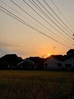 Golden Sunset Over Rustic Village and Rice Field with Overhead Wires photo