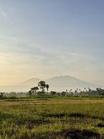 Serene Mountain Landscape with Green Fields photo