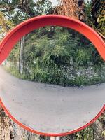 Convex Traffic Mirror Reflecting Road and Greenery photo