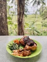 Indonesian Fried Chicken with Sambal and Vegetables photo