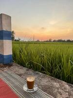 Coffee at Sunset in a Rice Field photo