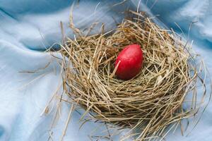 Colorful Easter eggs nestled in a nest surrounded by flowers and straw on a light blue background photo