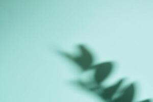 Natural shadow on gradient paper background. Abstract blue floral backdrop photo