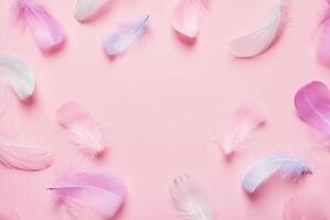 Abstract background with soft pink feathers. Monochrome Flat lay frame photo