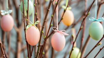 A charming features colorful Easter eggs on a tree branch video