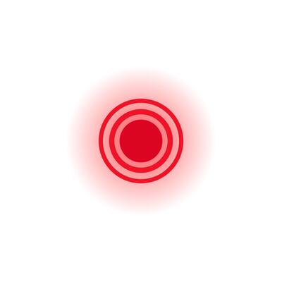 Red circular pattern with concentric rings displayed in simple geometric design