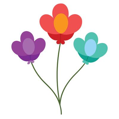three colorful flowers on a white background