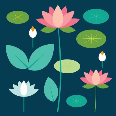 illustration of lotus flowers and leaves on a dark background