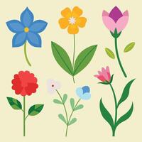 a set of different flowers on a yellow background vector
