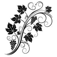 grape vine design vector