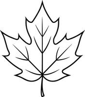 Maple Leaf Outline - Minimalist Botanical Illustration vector