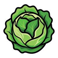 a cartoon cabbage head black outline on a white background vector